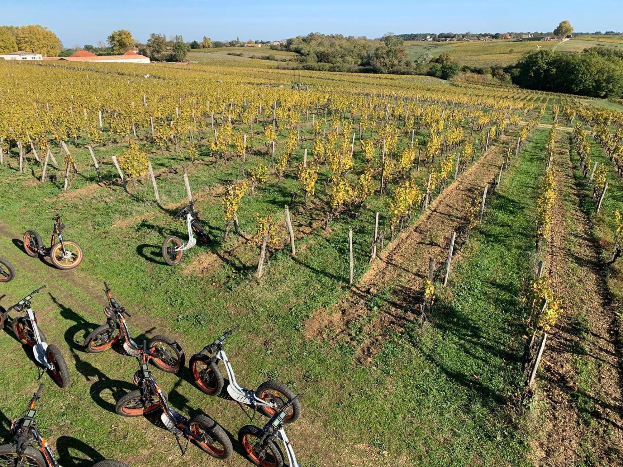 Maison 15 Sauternes Dış mekan fotoğraf