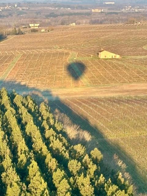 Maison 15 Sauternes Dış mekan fotoğraf